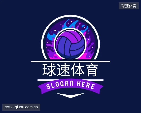 关于球速体育公司